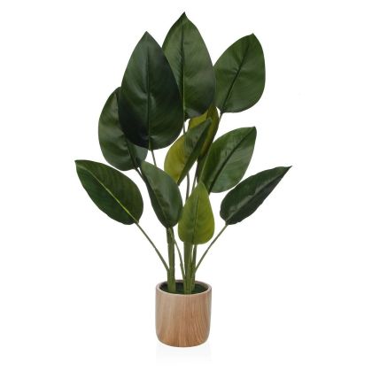 Plantă decorativă Versa Plastic