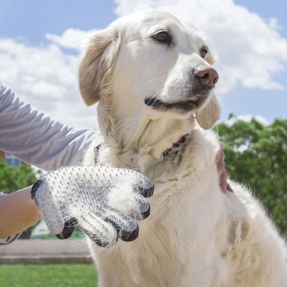 Mănușă pentru Perierea și Masarea Animalelor de Companie Relpet InnovaGoods