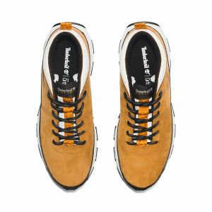 Cizme de munte Timberland Winsor Trail Mid Maro Maro Deschis