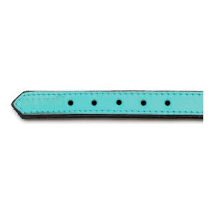 Zgardă pentru câini Gloria Căptușit Turquoise 45 cm (45 x 2 cm)