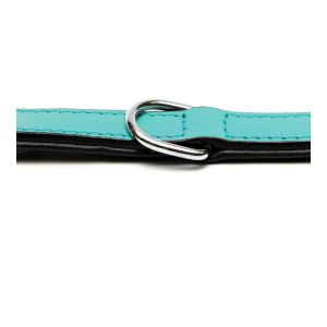 Zgardă pentru câini Gloria Căptușit Turquoise 45 cm (45 x 2 cm)