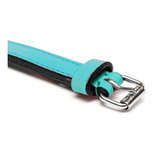 Zgardă pentru câini Gloria Căptușit Turquoise 45 cm (45 x 2 cm)