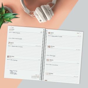 Agendă Finocam YEAR Roșu A5 15,5 x 21,2 cm 2025