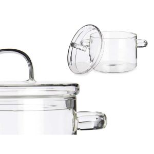 Oală cu capac Sticlă borosilicată Transparent (15,4 x 16,8 x 20,5 cm)