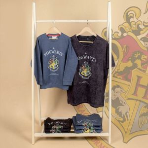 Tricou cu Mânecă Scurtă Femei Harry Potter Gri Gri închis